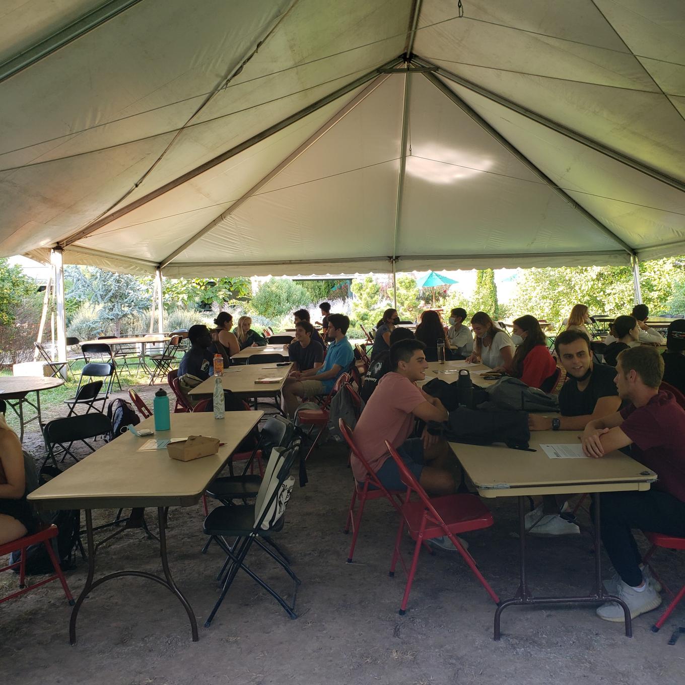 Many students engage in a mediation simulation.