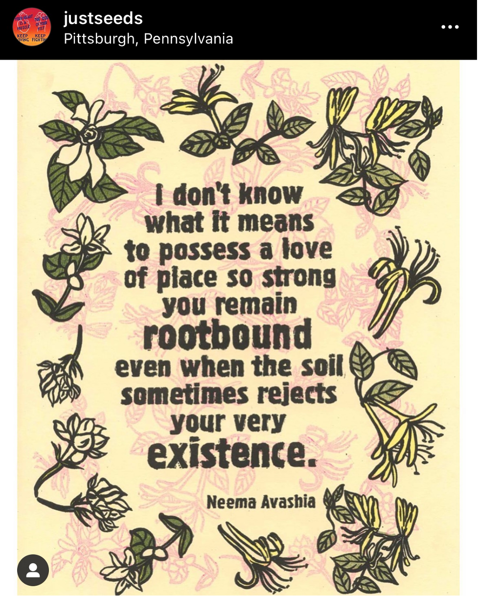 Neema Avashia’s quote