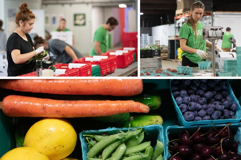 Workers and produce at the food hub