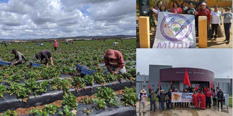 field workers (left), Women United in Defense of Indigenous Agricultural Workers (top right), Alliance of National, State, and Municipal Organizations for Social Justice rally (bottom right)