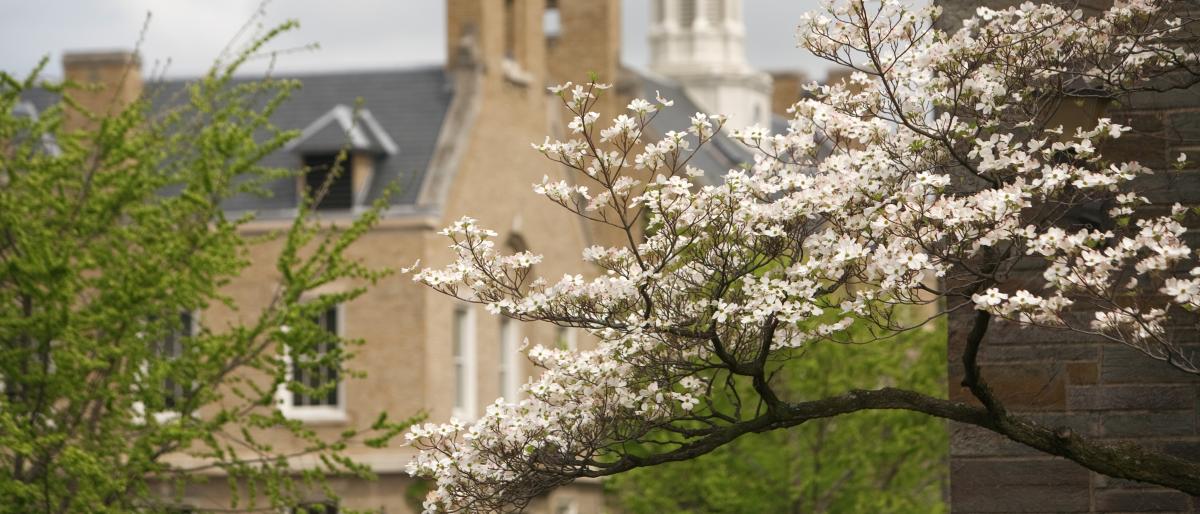 Photo: Ithaca Campus