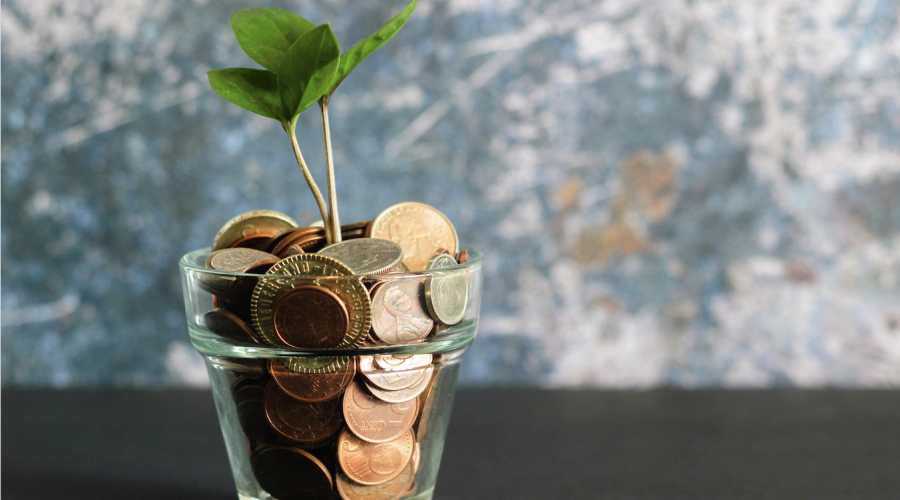 Plant growing in pot filled with coins