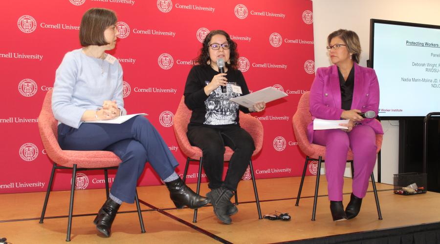 Worker Institute Protecting Worker Rights Under Project 2025 January 8, 2025; panelists discussing