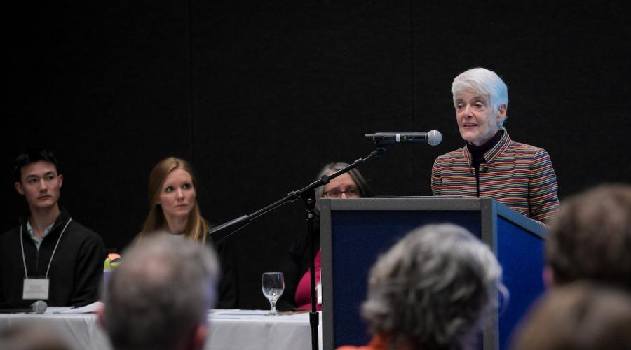 Susanne Bruyere, speaking at the Working Together conference