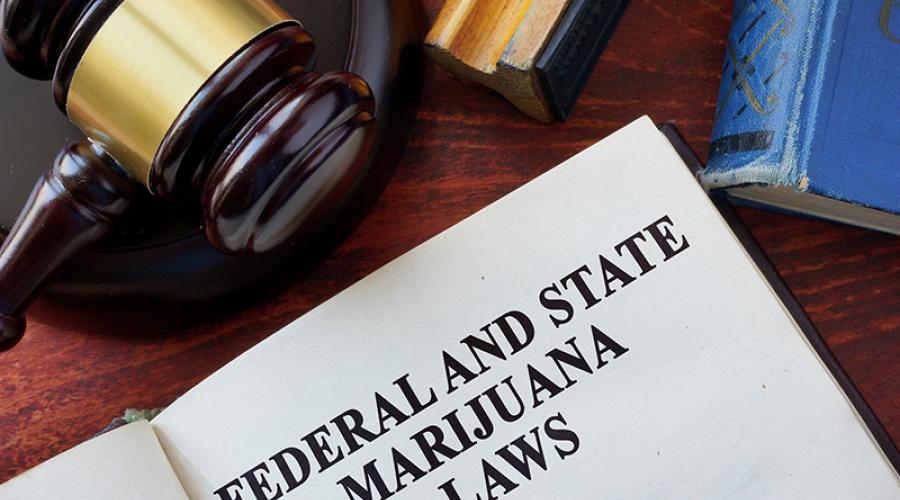 Federal and State Laws