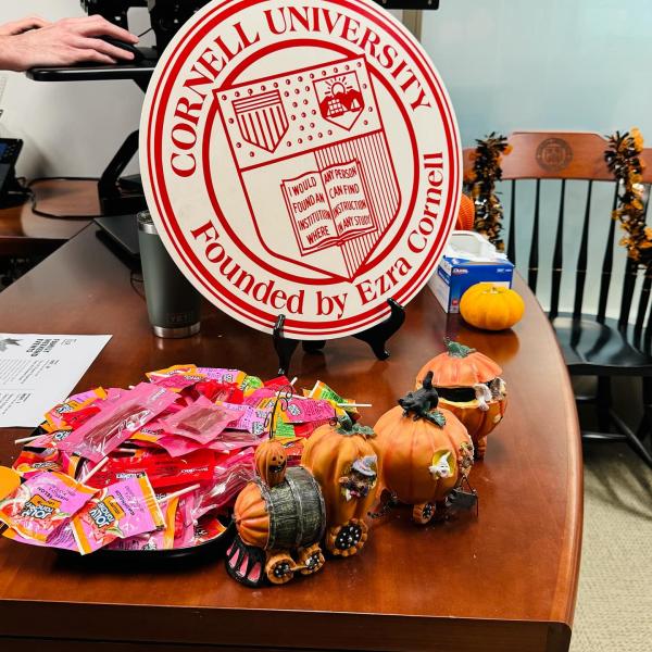 Instagram image for post at https://www.instagram.com/p/DQfMNrOEUId/