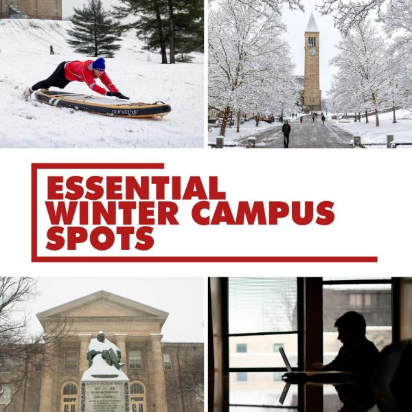 Instagram image for post at https://www.instagram.com/p/DSnssY8Ee79/