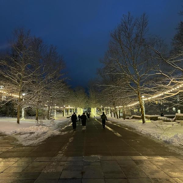 Instagram image for post at https://www.instagram.com/p/DR5biG6EQke/