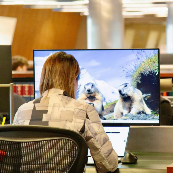 Instagram image for post at https://www.instagram.com/p/DUQ68SygDN5/