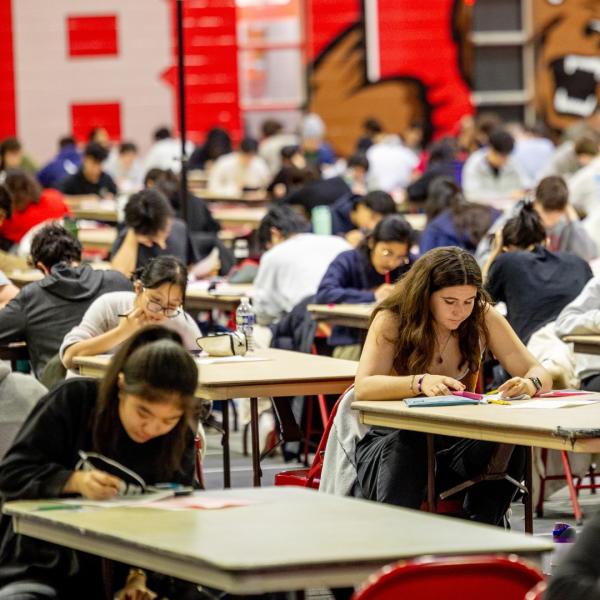 Instagram image for post at https://www.instagram.com/p/DSK8hMajUs3/