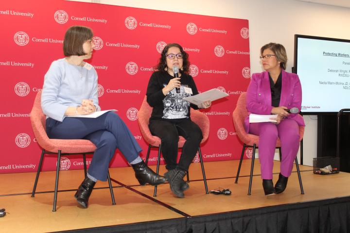 Worker Institute Protecting Worker Rights Under Project 2025 January 8, 2025; panelists discussing