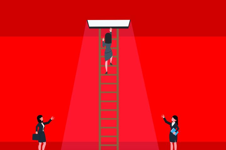 A business woman at the top of the ladder. 