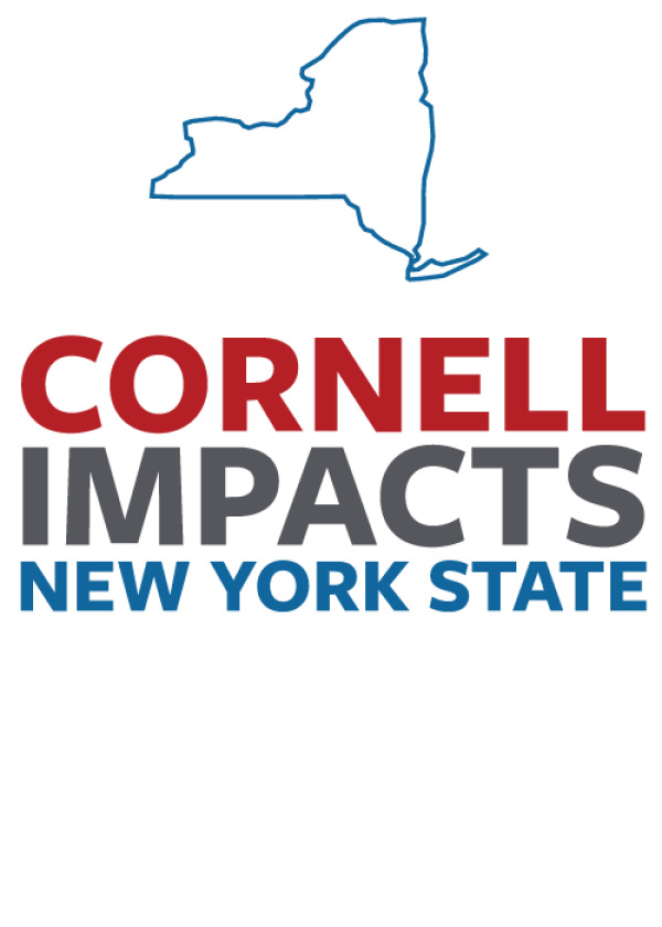 Cornell Impacts New York State